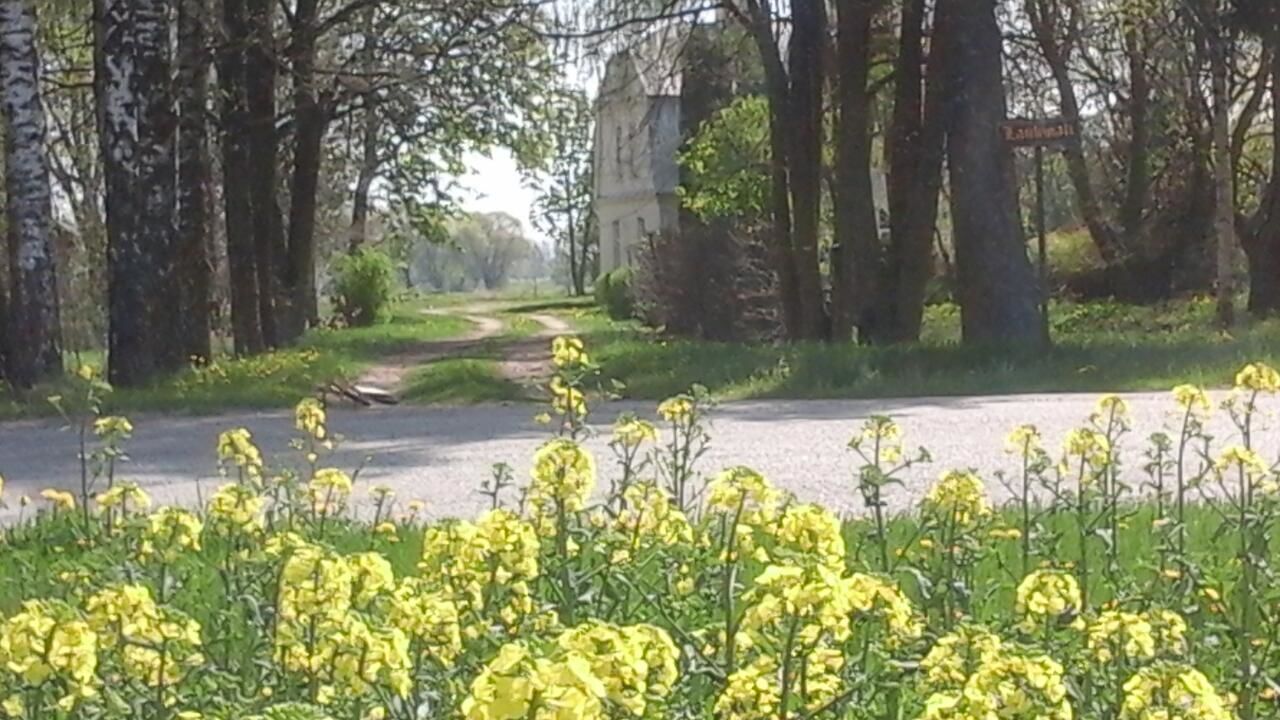 Гостевой дом Guest house LAUKMALI (( Falcgrāve ))-16