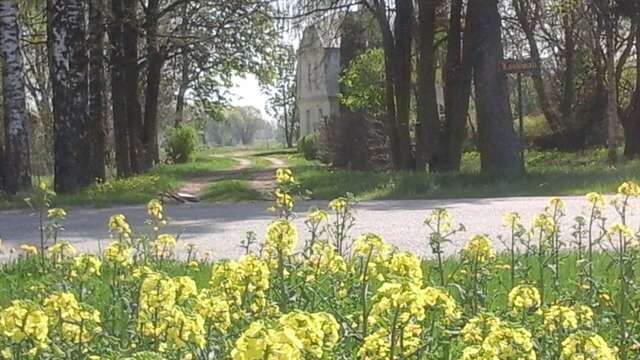 Гостевой дом Guest house LAUKMALI (( Falcgrāve ))-15