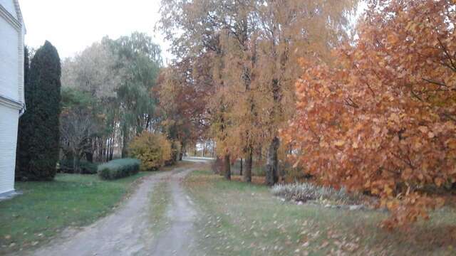 Гостевой дом Guest house LAUKMALI (( Falcgrāve ))-4